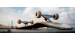 Deskorolki Longboard i Pennyboard