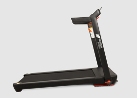 newton fitness
