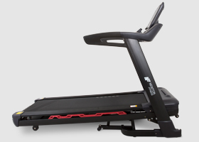 newton fitness