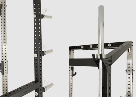 newton fitness