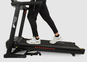 newton fitness