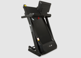 newton fitness