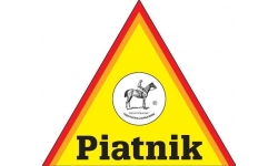 Piatnik